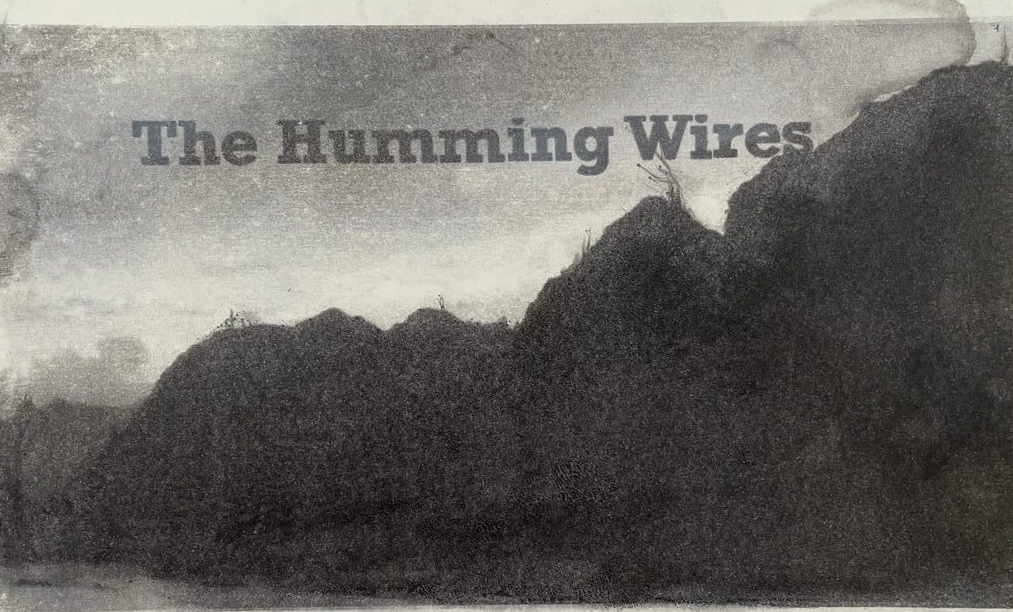 Jean Luc Verna, The humming wires © Adagp, Paris, 2022